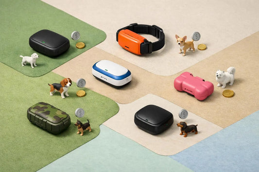 Six balises GPS chien modernes et colorées, avec leurs prix, pour trouver la meilleure option.