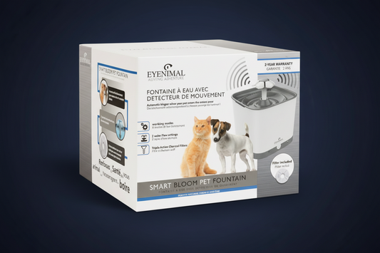 Water fountain with motion detector 