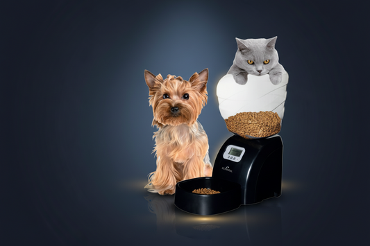 Electronic programmable pet food dispenser