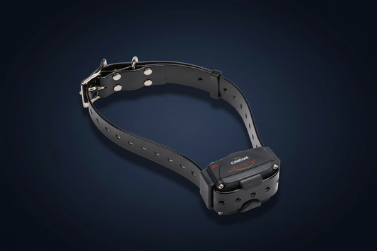 CANICOM 250 LE Training Set