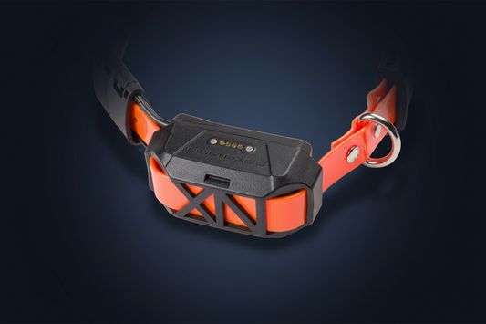 CANICOM GPS MINI Location System without Stimulation