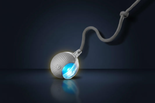 Right Cat Smart Interactive Dog Ball 